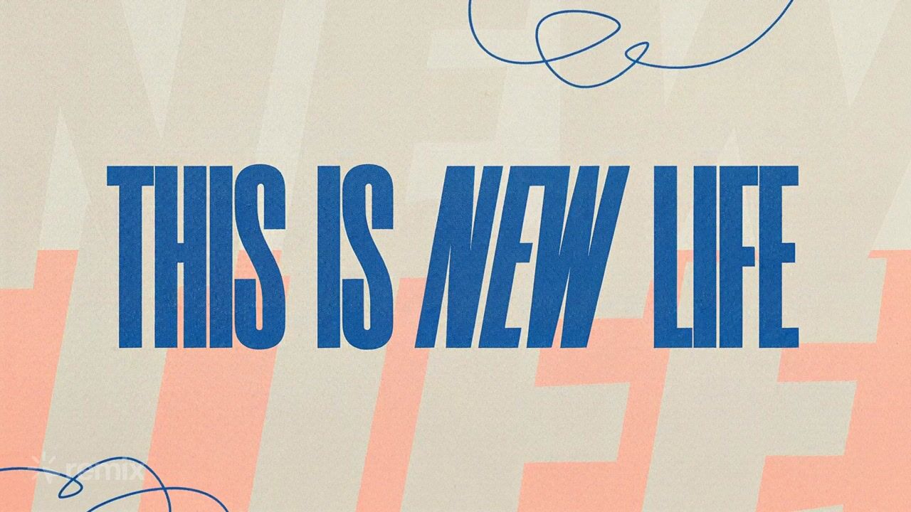 This Is New Life: stinger