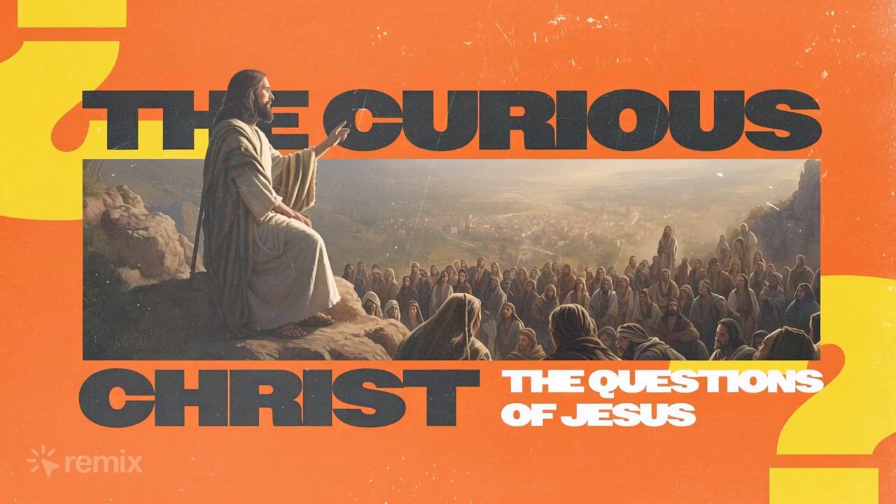 The Curious Christ: stinger