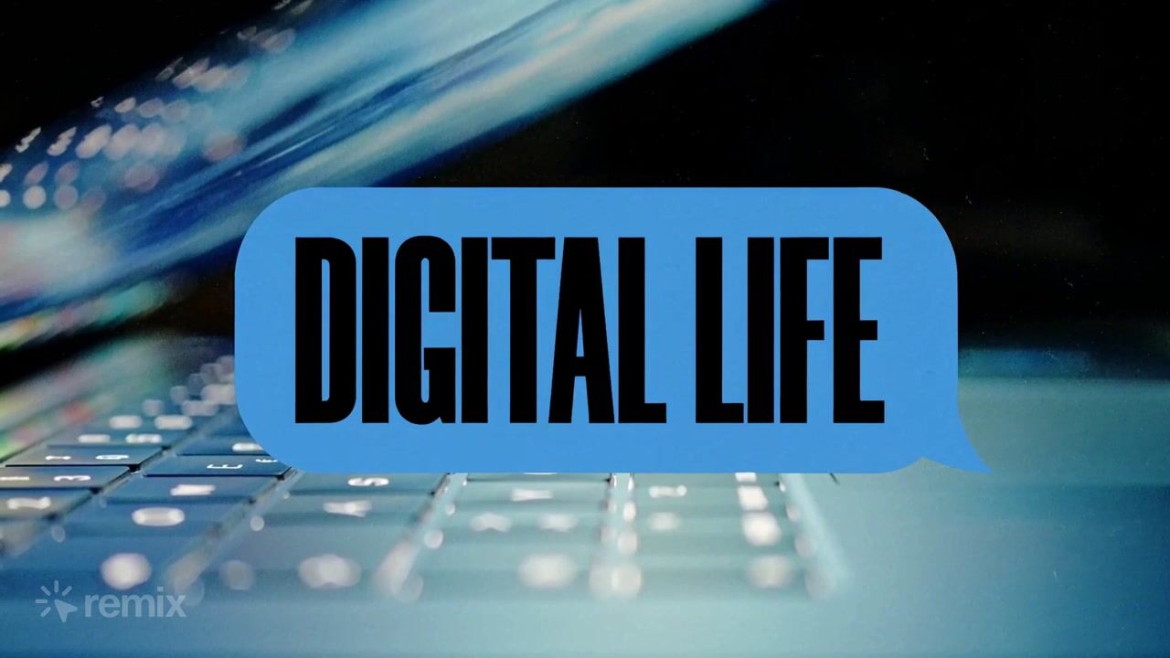 Digital Life: stinger