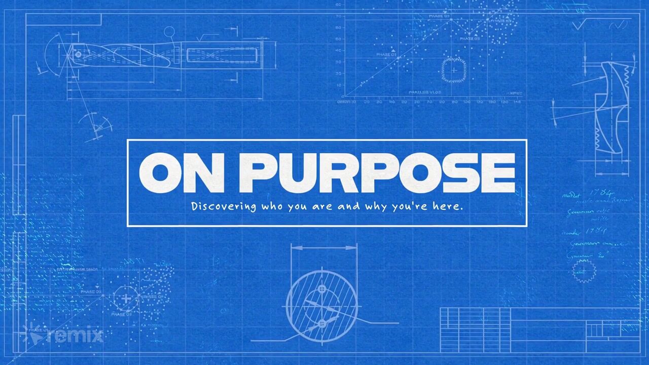 On Purpose: stinger